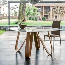 BUTTERFLY TONIN CASA  GLASS