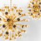 φωτογραφία Chandelier Antares S